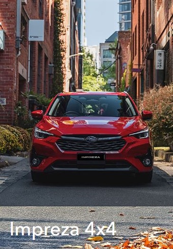 Ihr täglicher Vergnügungstrip