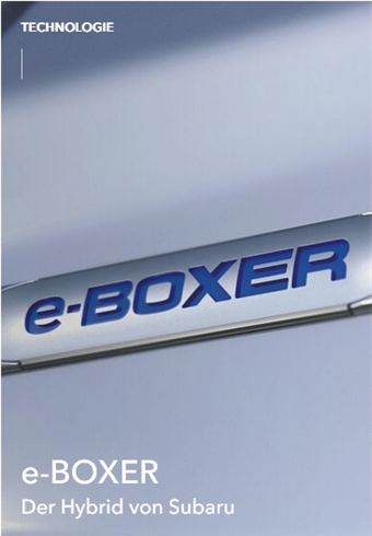 e-Boxer