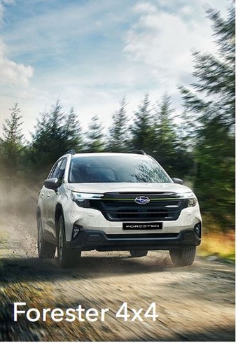 Auf zu neuen Erlebnissen